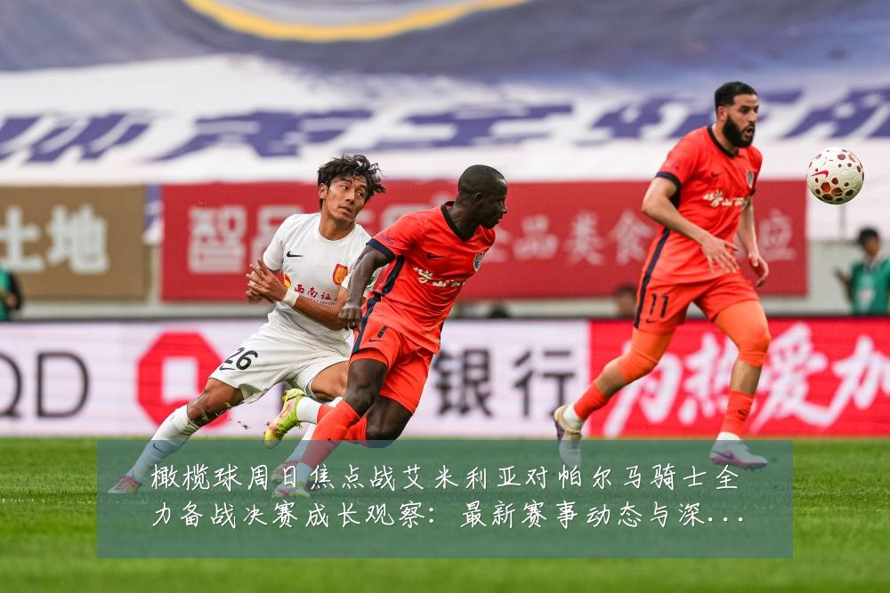 橄榄球周日焦点战艾米利亚对帕尔马骑士全力备战决赛成长观察:最新赛事动态与深度分析